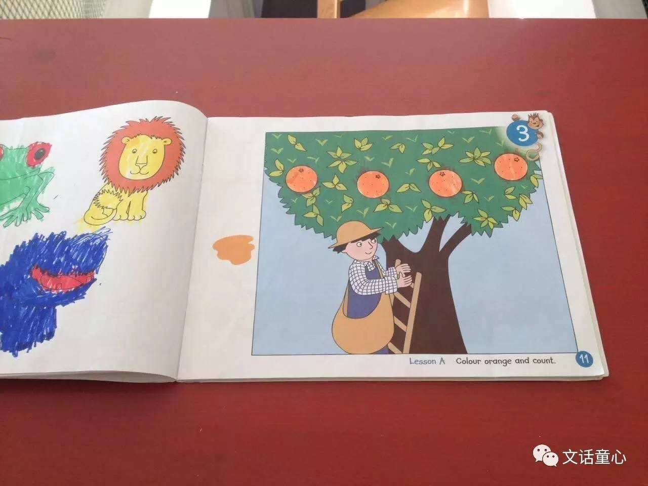 文话课|亲近自然,注重体育,希腊幼儿园长这样!