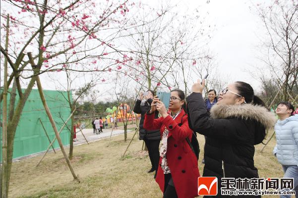 逛一逛美丽乡村,最美五彩田园
