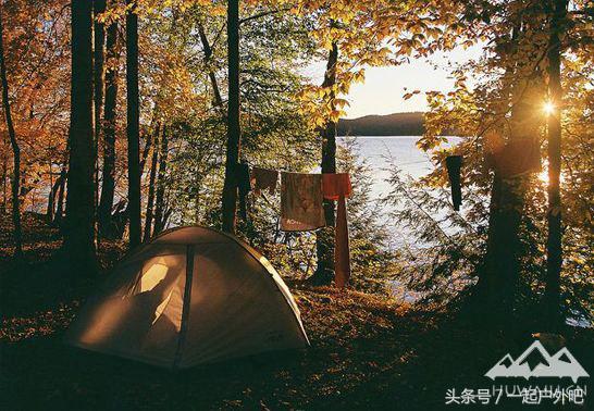 野外被毒蛇咬了如何自救,在野外被毒蛇咬伤正确的治疗方法