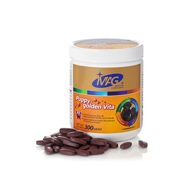 养狗指南狗狗性格判断训练策略,养狗注意情绪