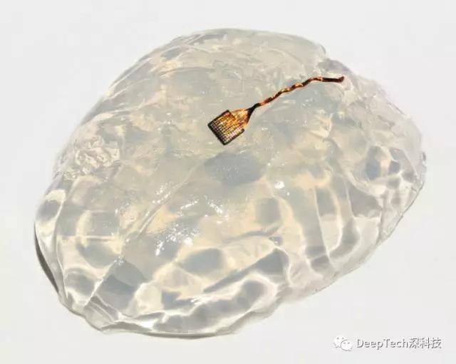 澶ц剳鍙戝嚭鎸囦护绁炵粡绯荤粺,澶ц剳鎸囨尌绁炵粡绯荤粺