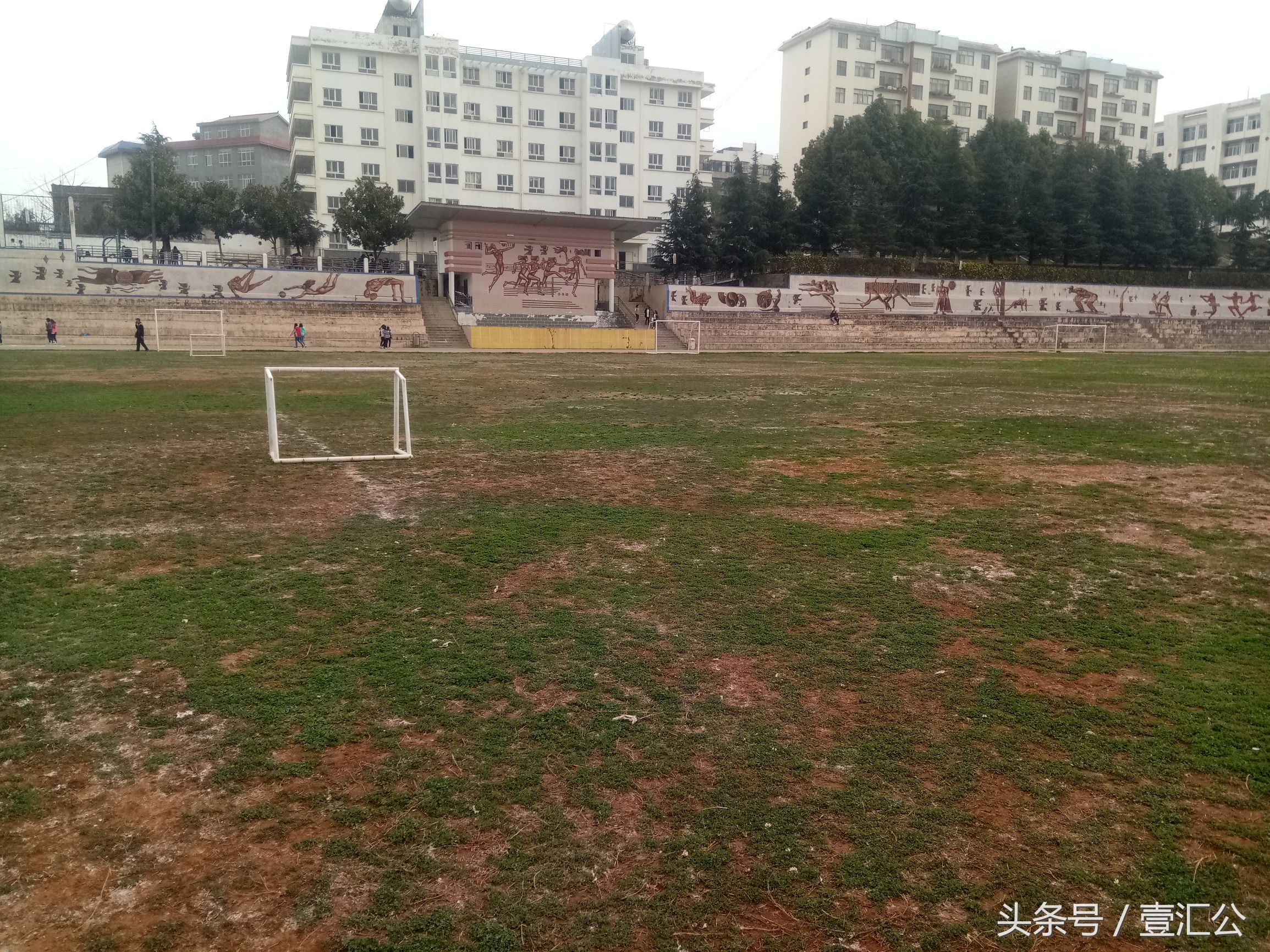 少小离家老大回的情景,少小离家老大回不是乡音未改吗