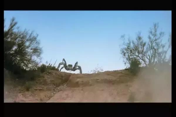 这是你们要的大长腿，备好纸巾，准备上下其手吧