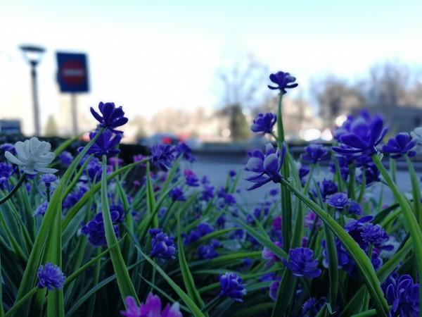 荣耀v9口碑,荣耀v6和9哪个好