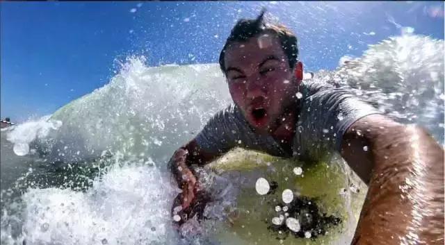 最萌短尾矮袋鼠,澳洲偶遇袋鼠