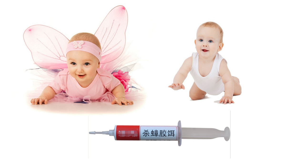 蟑螂药靠气味消灭蟑螂吗,怎么灭蟑螂药最好最有效