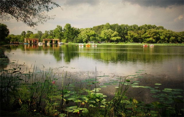 中国四大园林城市分别是,中国四大园林城市