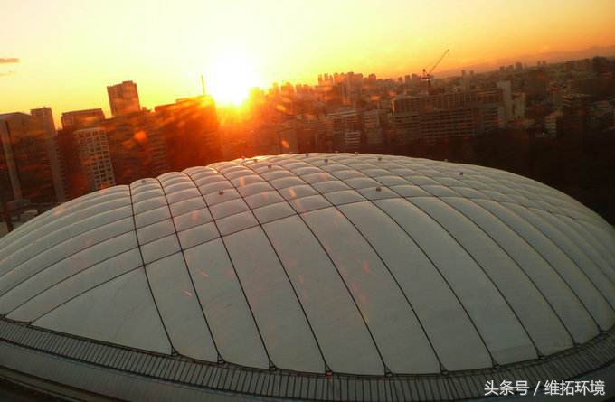 日本这个“蛋”，不得不说还真有点高科技！