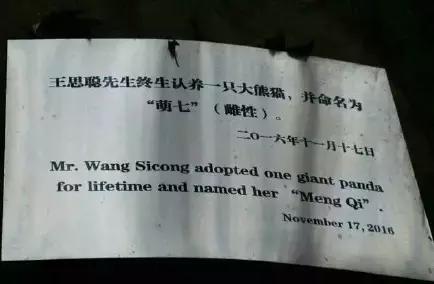 王思聪和张小蒙现状,王思聪新女友张小蒙