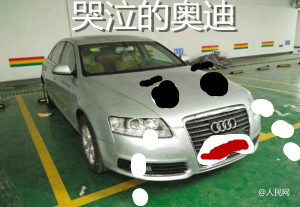 村子修路发现恐龙化石,老人挖出恐龙蛋化石