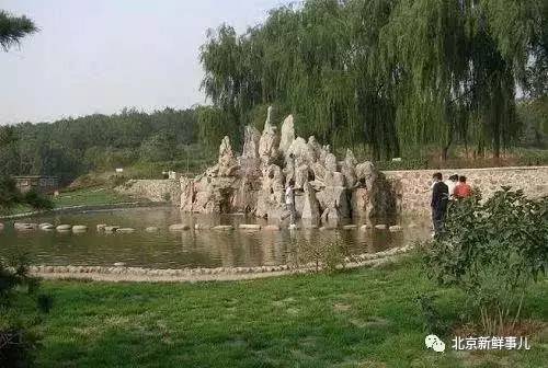 北京植物园踏青赏花,踏青赏花北京