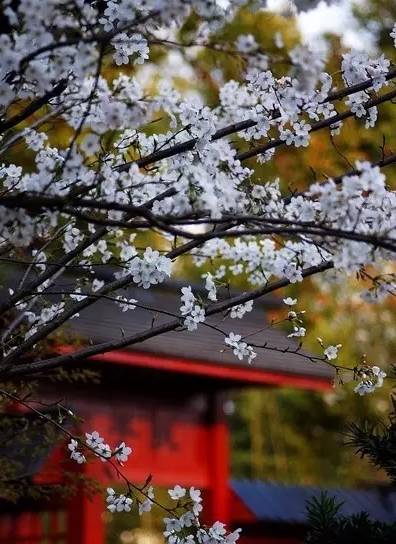 小学成语分类整理大全,这份成语分类大全替孩子存下吧