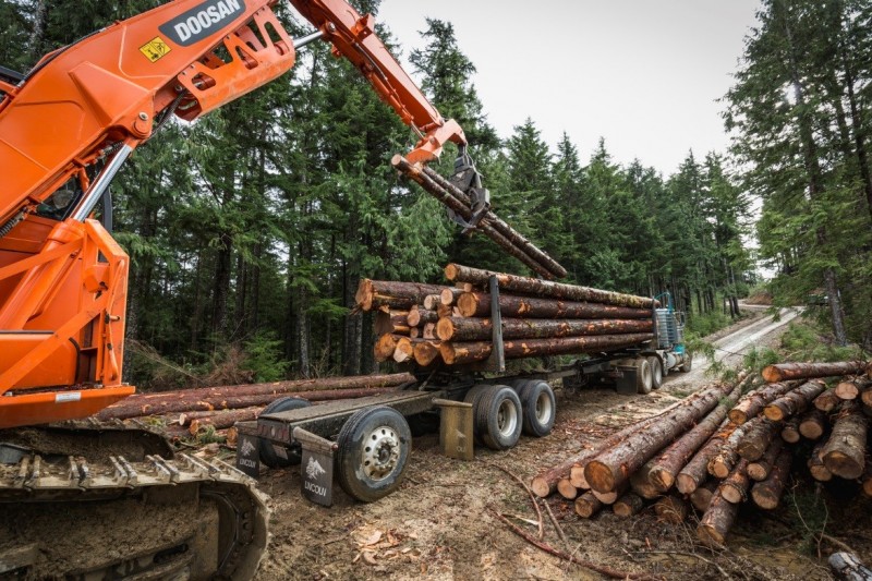 外来入侵给我们的警示,外来入侵的途径