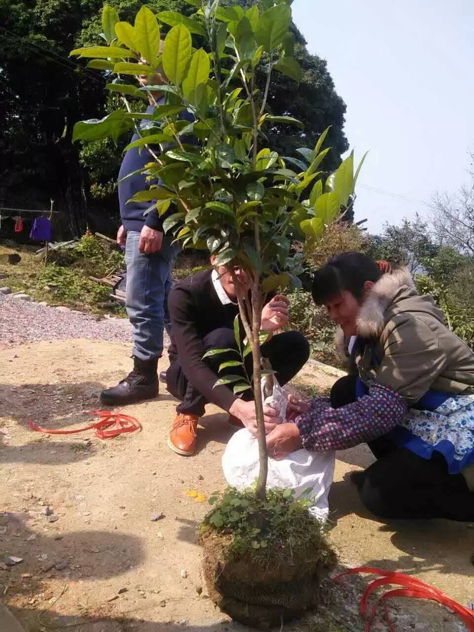 金花节开幕式,以花为媒非遗绽放花博会