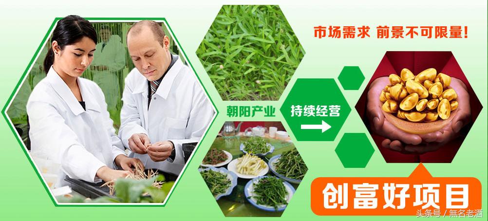 农村不起眼的创业商机,乡镇创业35个赚钱致富项目