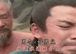 傻傻分不清汉字四胞胎,傻傻分不清的汉字双胞胎