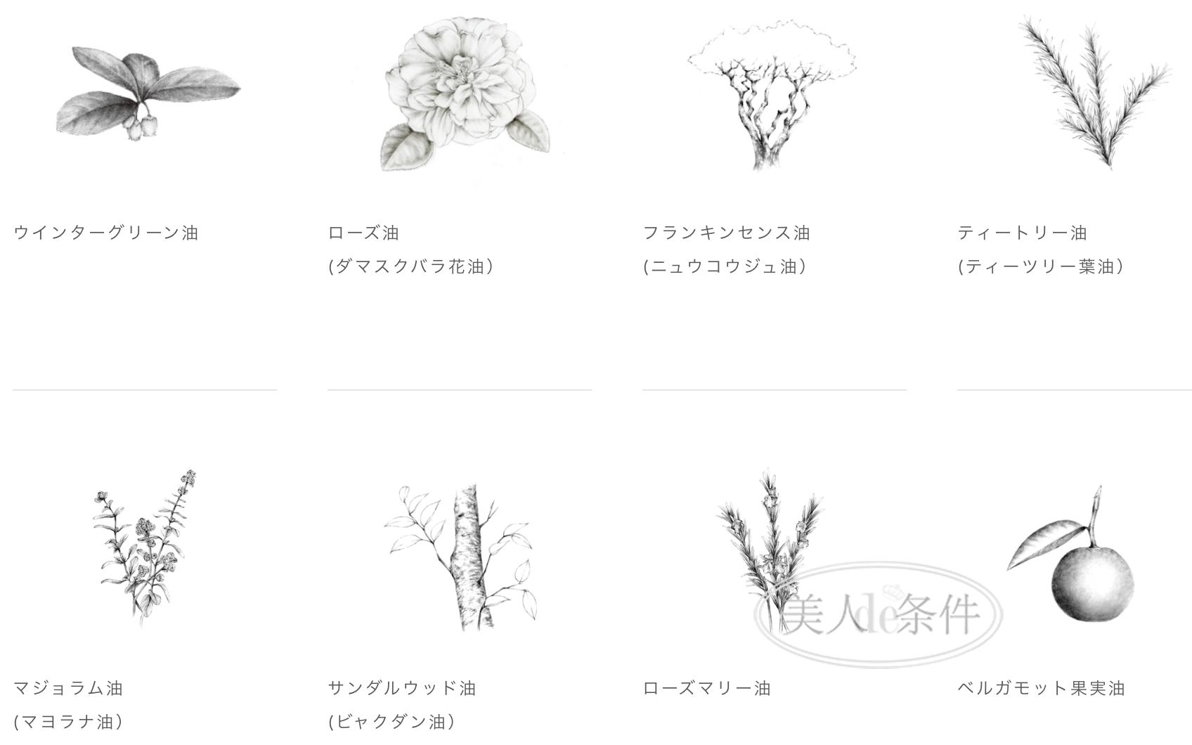 日本化妆品被曝光,日本化妆品四大花旦