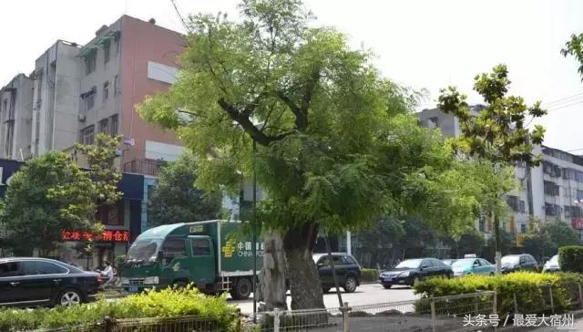 宿州老城区,生活在老城区的感受