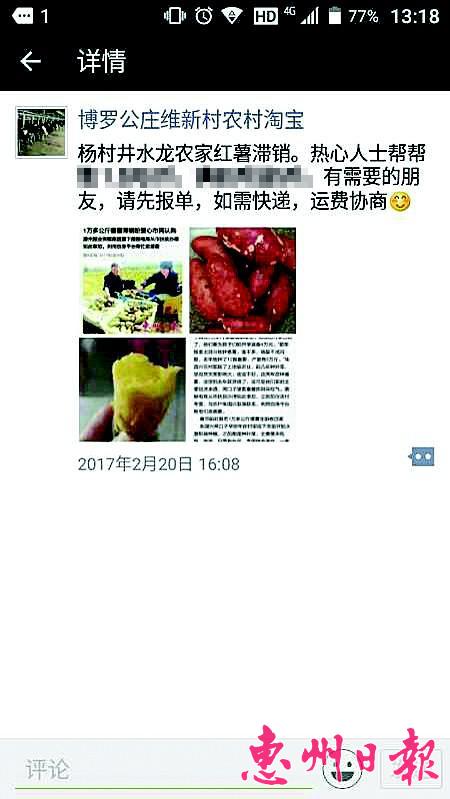 爱心认购番薯10天消化一万多公斤