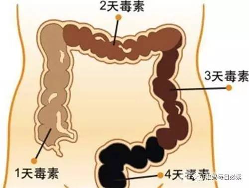 产后妈妈怎么正确应对便秘,产后的妈妈经常头晕该怎么办呢