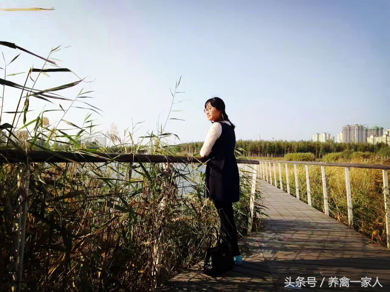 养鸡顽固性腹泻怎么办,养鸡总拉稀是什么原因