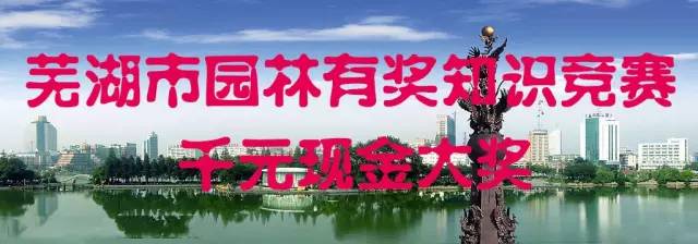 约吧芜湖市科技馆“好戏连台”，免费来玩！