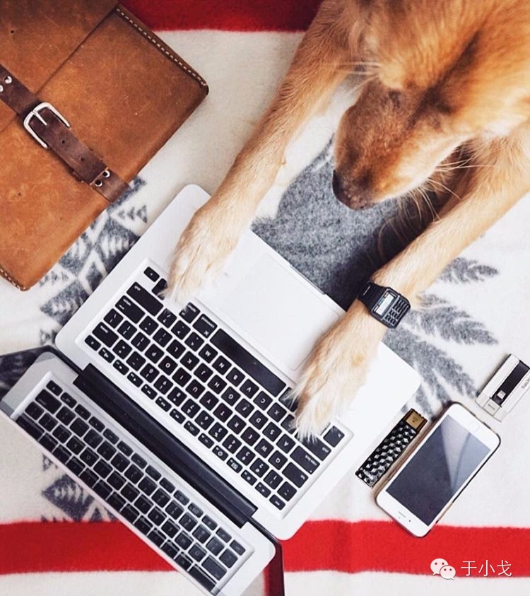 过年什么礼物给父母,过年礼物哪些比较好看