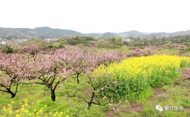 欣赏三生三世十里桃花美景,带你看风景三生三世十里桃花