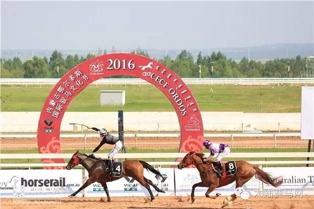 岂止比赛，更是盛会—2016内蒙古鄂尔多斯国际驭马文化节成功举办