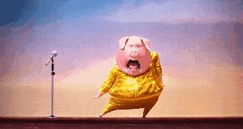 动物好声音所有歌曲,动物好声音