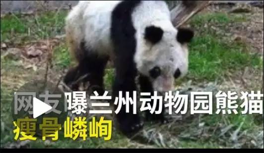 旅游班线客车需要办理什么手续,旅游直通班线车需要实名购票吗