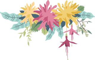 纸尿裤爆炸事件,纸尿裤事件