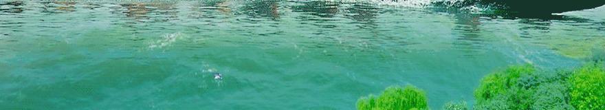 新生儿促甲状腺激素tsh多少为正常,tsh促甲状腺激素偏高优甲乐吃多少