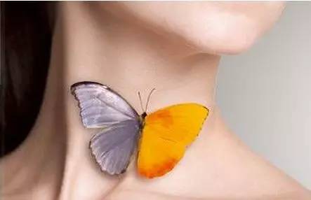 新生儿促甲状腺激素tsh多少为正常,tsh促甲状腺激素偏高优甲乐吃多少