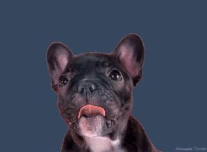 连锅都免费送？这位壕老板打造的保定高逼格火锅外卖，吊炸天啦！