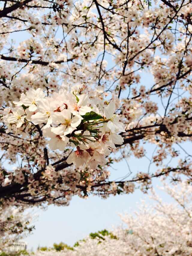 女王节快到了祝大家女王节快乐,女王节快到了犒劳自己