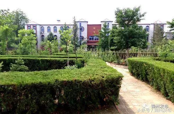 锦城最新消息,锦城消息