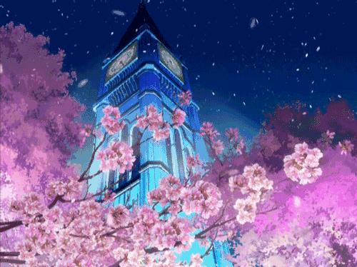 樱花季带你去日本看最美的樱花,日本观赏樱花地点有哪些