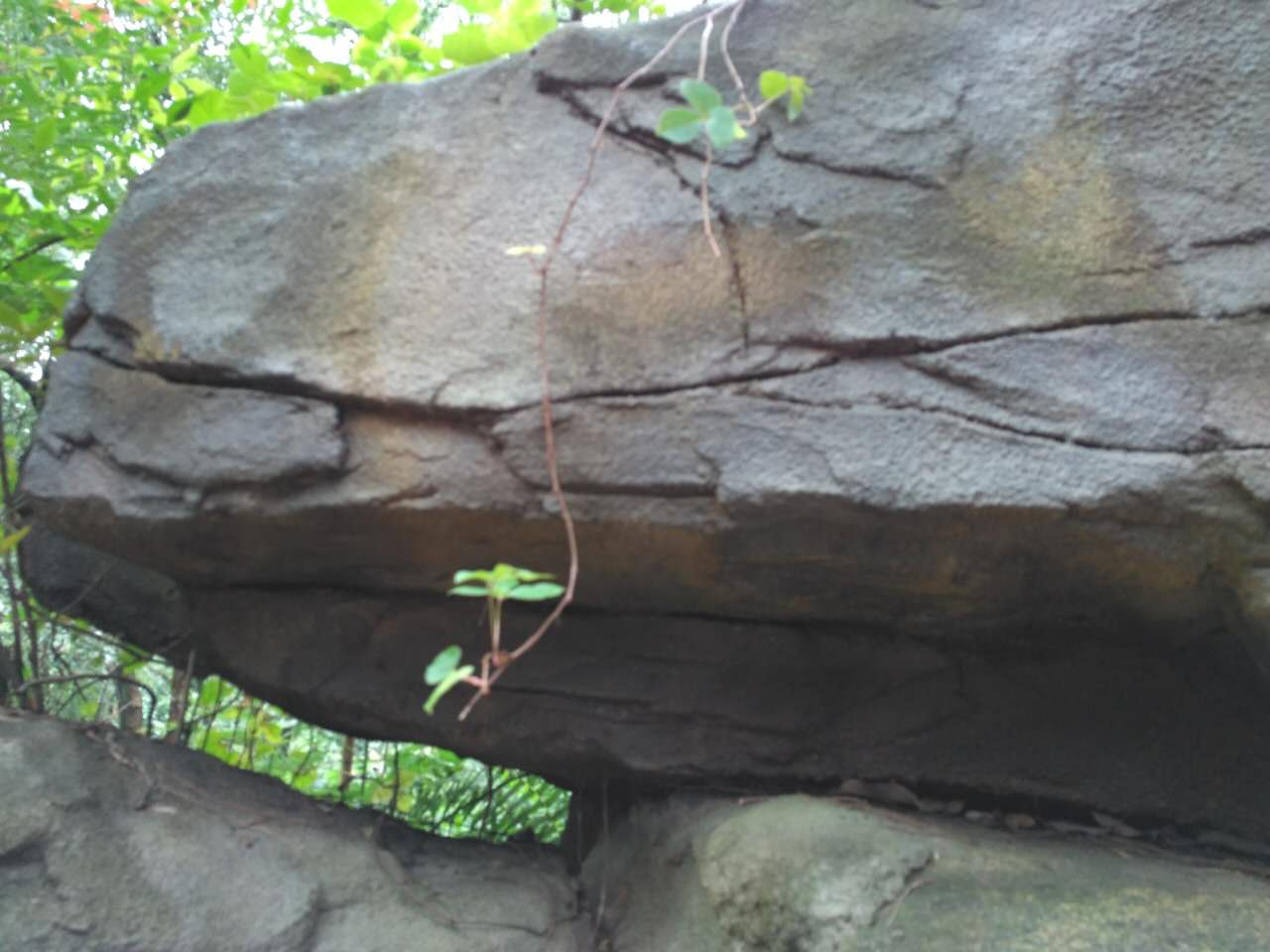 社群营销第一步怎么打造微信号,微信群机器人社群营销方案