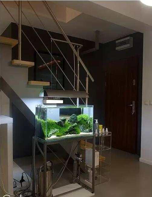 坏水质,草缸水质都要注意哪些