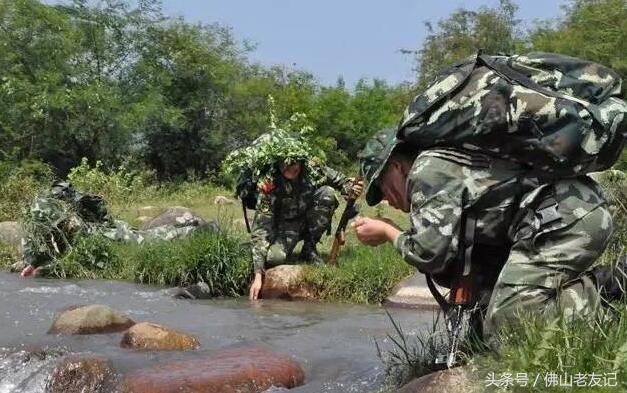 强大的生存技能,野外的生存技能