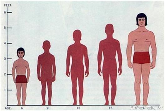 20岁还像个小孩子能长高吗,20岁还能长高么男