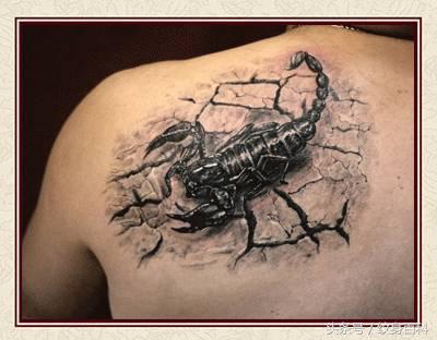 粉丝求图,粉丝求素材原图怎么回复