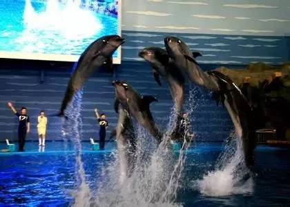 东北最值得去的5a景点,东北5a景区环游