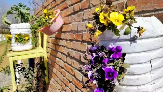 春风十里，不如吃你～周末去户县晒太阳最不该错过这几家美味