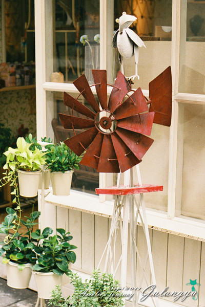 鼓浪屿旅行攻略最新,鼓浪屿旅行攻略大全