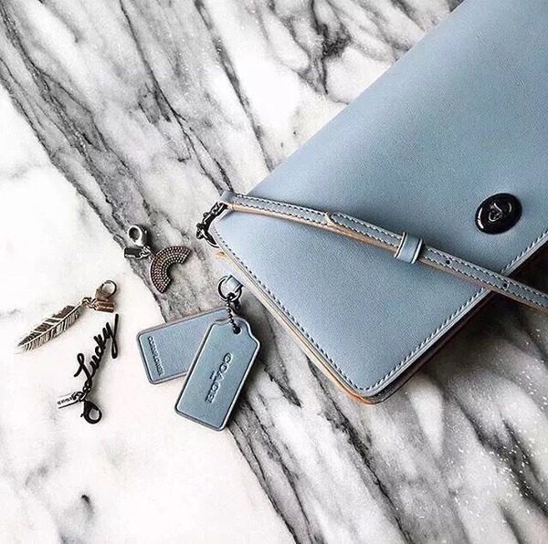 coach蔻驰包包1982,coach蔻驰2024新款包包