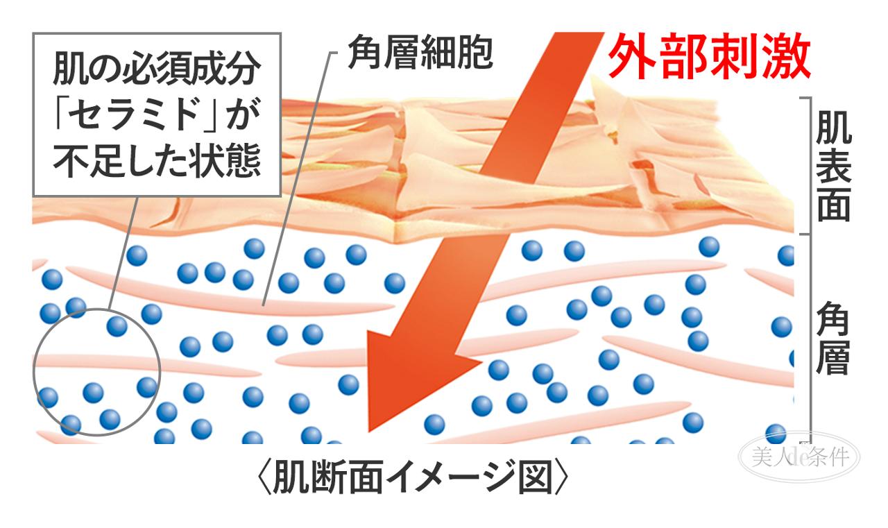 深挖化妆品四大家族,揭秘大牌化妆品雷区