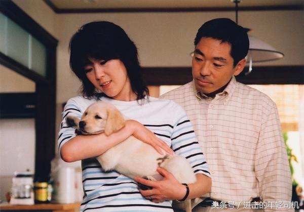 推荐十部关于人与动物的电影,值得一看的动物题材电影