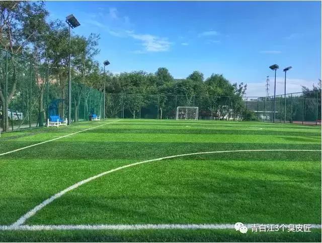 3个臭皮匠肉身亲测青白江文体中心，限时免费！约吗？